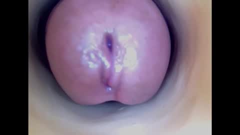 Paula 18 Aninhos online show from 20, 2, 2026