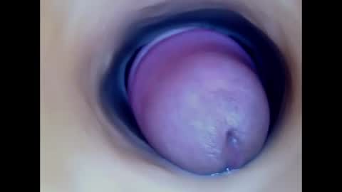 Snapshot of paulainoscente chatting on 7, 7, 2026 Paula 18 Aninhos online show from 7, 7, 2026