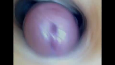 Snapshot of paulainoscente chatting on 7, 7, 2026 Paula 18 Aninhos online show from 7, 7, 2026