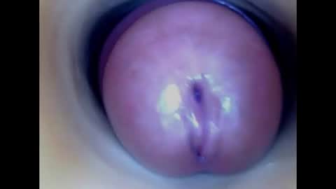 Snapshot of paulainoscente chatting on 8, 7, 2026 Paula 18 Aninhos online show from 8, 7, 2026