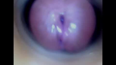 Snapshot of paulainoscente chatting on 9, 7, 2026 Paula 18 Aninhos online show from 9, 7, 2026
