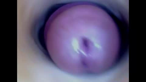 Snapshot of paulainoscente chatting on 13, 7, 2026 Paula 18 Aninhos online show from 13, 7, 2026
