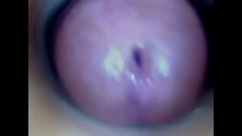 Snapshot of paulainoscente chatting on 13, 7, 2026 Paula 18 Aninhos online show from 13, 7, 2026