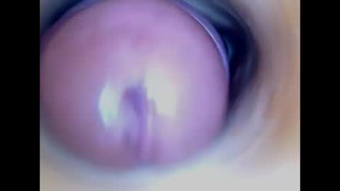 Snapshot of paulainoscente chatting on 20, 7, 2026 Paula 18 Aninhos online show from 20, 7, 2026
