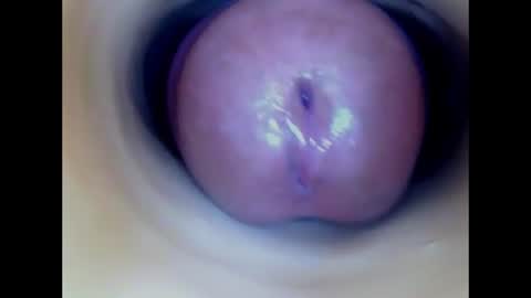 Snapshot of paulainoscente chatting on 23, 7, 2026 Paula 18 Aninhos online show from 23, 7, 2026