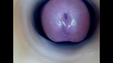 Snapshot of paulainoscente chatting on 25, 7, 2026 Paula 18 Aninhos online show from 25, 7, 2026