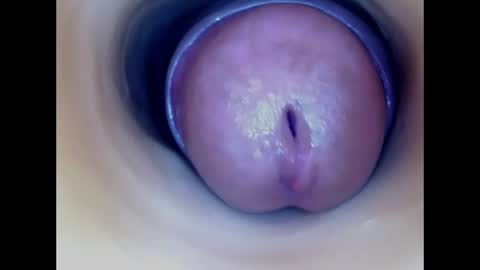 Snapshot of paulainoscente chatting on 26, 7, 2026 Paula 18 Aninhos online show from 26, 7, 2026