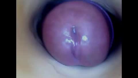 Snapshot of paulainoscente chatting on 28, 7, 2026 Paula 18 Aninhos online show from 28, 7, 2026
