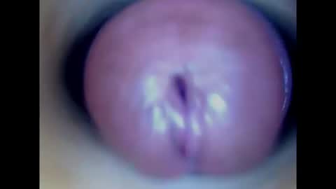 Snapshot of paulainoscente chatting on 31, 7, 2026 Paula 18 Aninhos online show from 31, 7, 2026