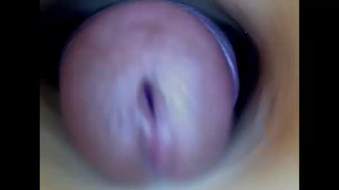 Snapshot of paulainoscente chatting on 2, 8, 2026 Paula 18 Aninhos online show from 2, 8, 2026