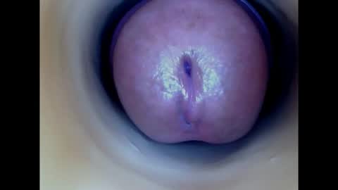 Snapshot of paulainoscente chatting on 2, 8, 2026 Paula 18 Aninhos online show from 2, 8, 2026