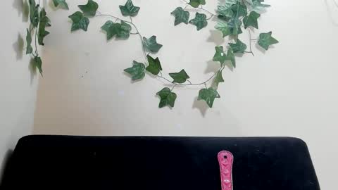 Paulinches online show from 9, 2, 2026