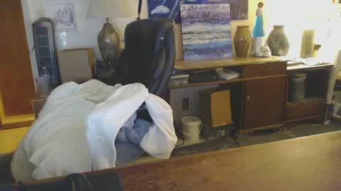 Snapshot of paulleroy chatting on 25, 1, 2025 paulleroy online show from 25, 1, 2025