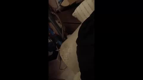 paulobascet online show from 12, 1, 2025