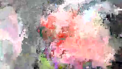 paulymcdona online show from 10, 4, 2026