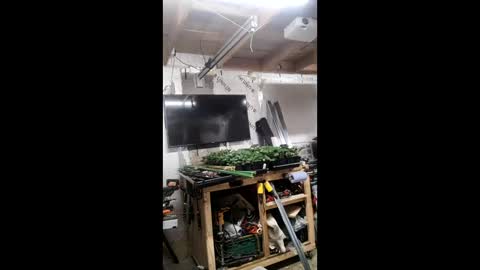 Snapshot of pawelniceguy chatting on 19, 1, 2026 pawelniceguy online show from 19, 1, 2026