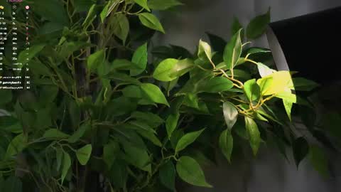 Beautiful Mila online show from 7, 7, 2026