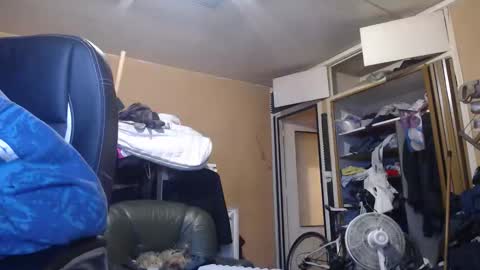 Snapshot of pc8474408 chatting on 1, 3, 2026 pc8474408 online show from 1, 3, 2026