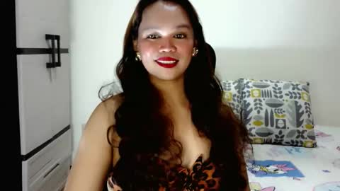 pegaus280 online show from 11, 5, 2026