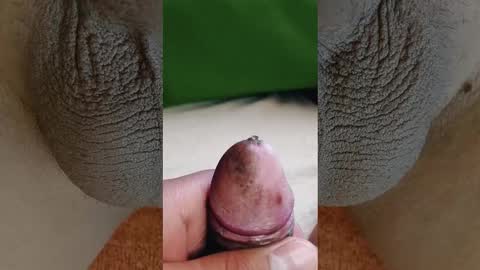 Penils online show from 3, 3, 2026