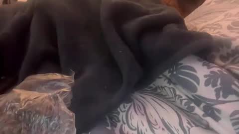 penutbutter691 online show from 23, 2, 2026