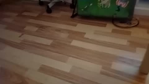 pepe_hard online show from 2, 3, 2026