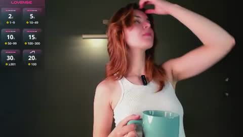 Snapshot of perfectvisitor chatting on 29, 6, 2026 Sophia online show from 29, 6, 2026
