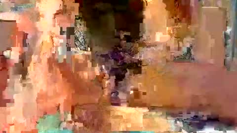 perryf online show from 9, 5, 2026