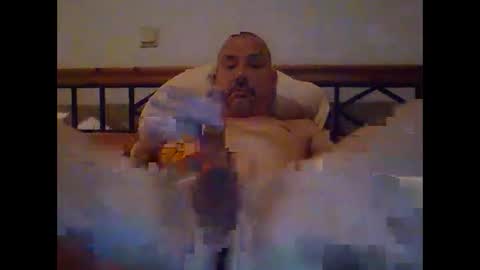 pet09 online show from 6, 1, 2025