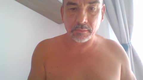 pet09 online show from 23, 6, 2026
