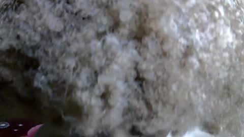 Caramel online show from 5, 11, 2025