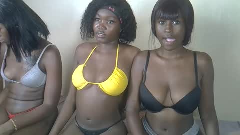 Cookie online show from 13, 3, 2026