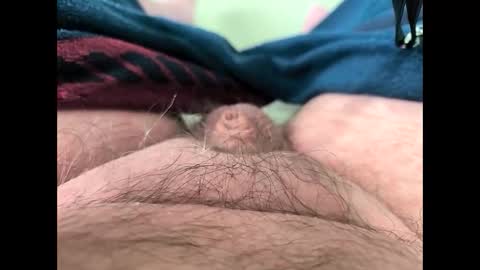 petrol63102 online show from 13, 3, 2026