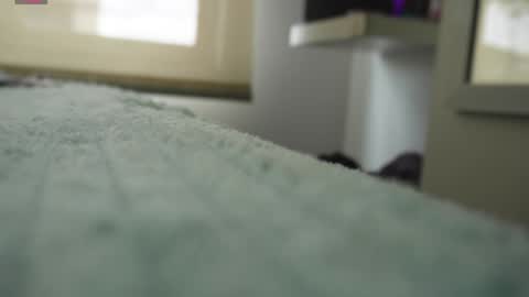 Pettercat online show from 5, 1, 2025