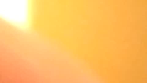 Snapshot of petw45 chatting on 25, 2, 2026 petw45 online show from 25, 2, 2026