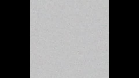 peytonn_monroe online show from 19, 1, 2026