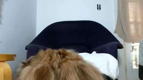 Snapshot of phattbooty80 chatting on 9, 12, 2024 TheSkyeWoods online show from 9, 12, 2024