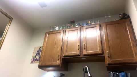 Phil online show from 2, 2, 2025