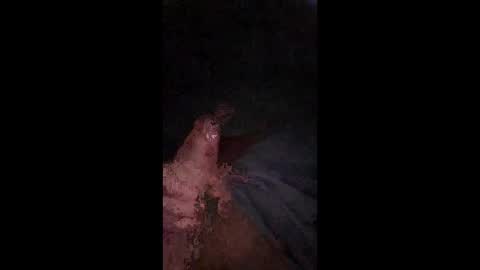 Snapshot of philllllll508346 chatting on 21, 12, 2025 philllllll508346 online show from 21, 12, 2025