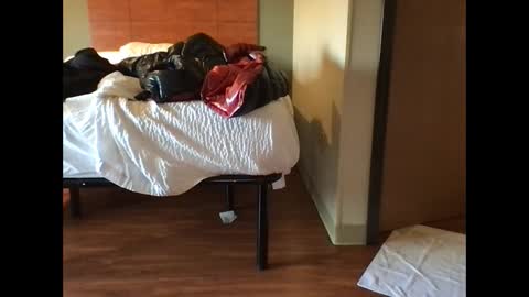 phxtdick415 online show from 1, 3, 2025