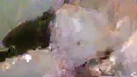 Pickup844 online show from 4, 1, 2025