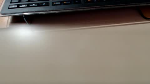 pier49x online show from 22, 12, 2024