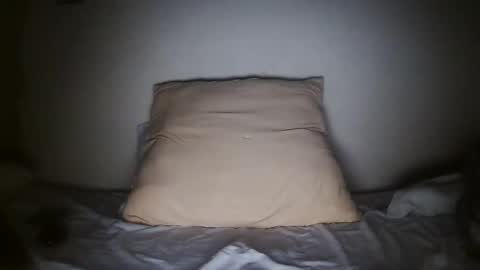 Snapshot of pieslatinos chatting on 31, 1, 2025 pieslatinos online show from 31, 1, 2025