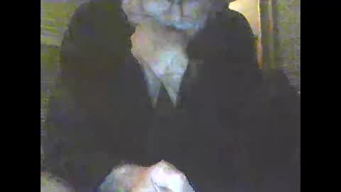 Snapshot of pigbear4trans chatting on 31, 12, 2024 pigbear4trans online show from 31, 12, 2024