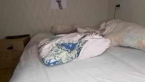 Pikachu pika online show from 15, 12, 2024