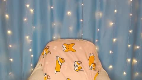 Pikachu pika online show from 13, 1, 2025