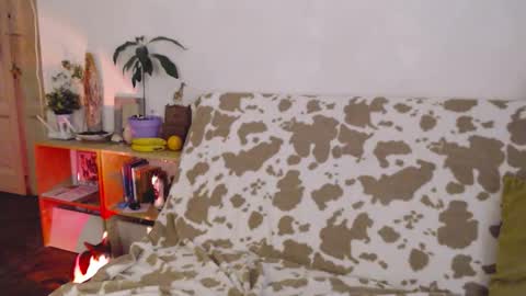 Sony online show from 1, 11, 2025