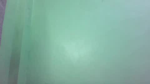 Snapshot of pinkish_shine chatting on 27, 2, 2025 Hi  its me shine  online show from 27, 2, 2025