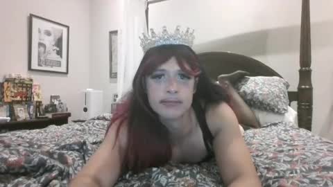 pinkpillbambi online show from 2, 8, 2026