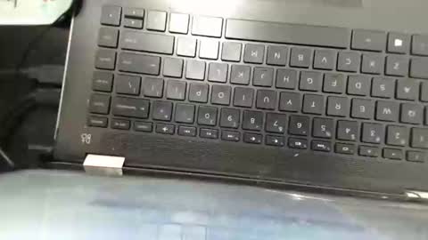 Rose online show from 2, 2, 2025